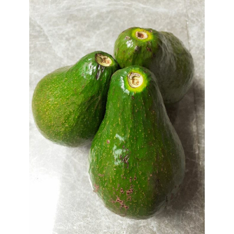 

Alpukat Mentega Wonosobo Buket Pulen Paket 5KG