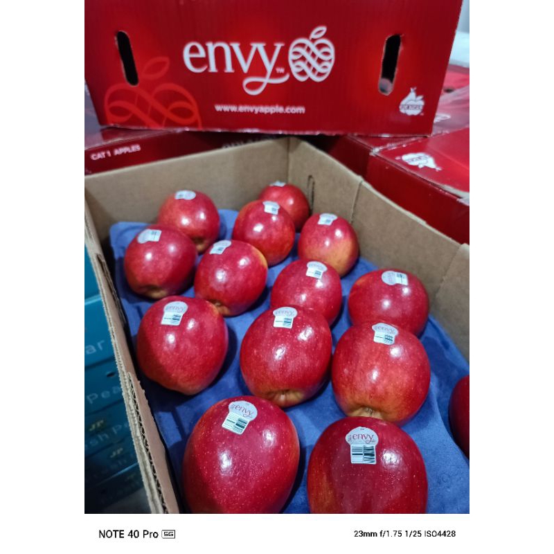 

APEL ENVY IMPORT USA MERAH MENGGODA