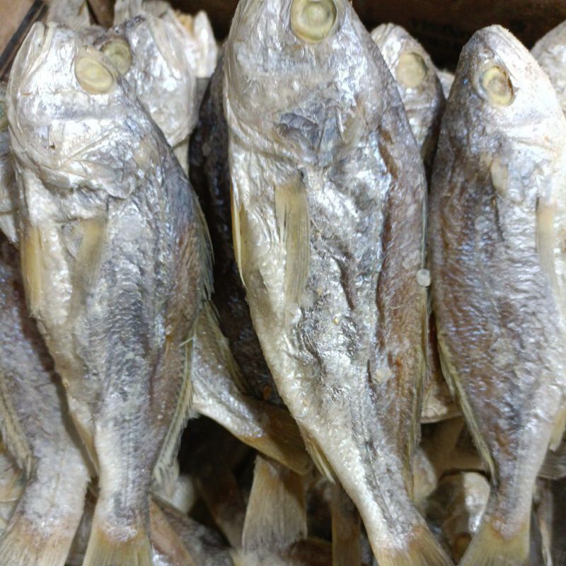 

Ikan Asin Kepala batu medan 250 gram