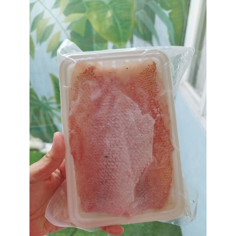 

Ikan Kakap Merah Fillet 250gr