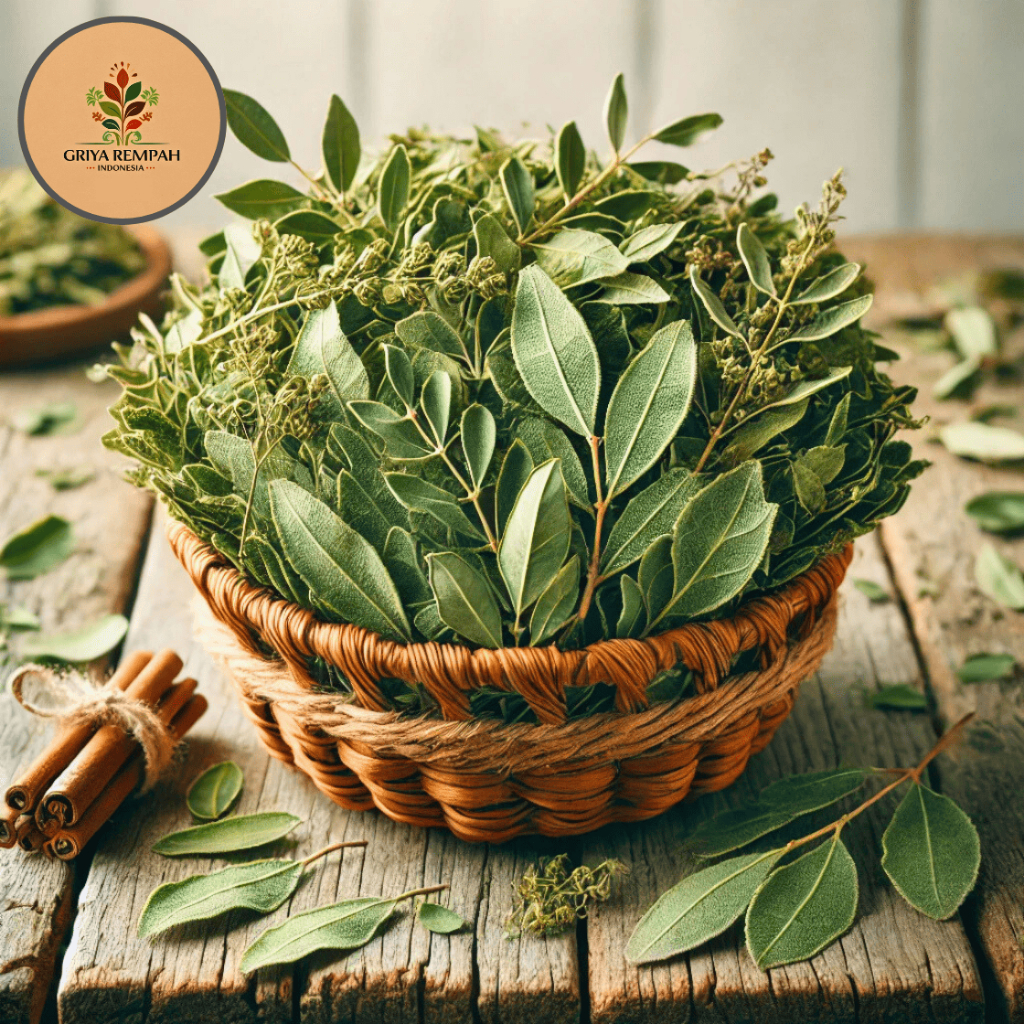 

BENALU TEH KERING 1 KG Premium – Ramuan Rempah Minuman Herbal Jamu Tradisional Simplisia Scurrula atropurpurea