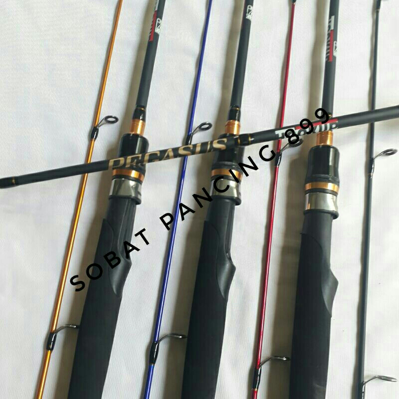 Joran Spining Hookup Pegasus 165 180 Top Solid Carbon