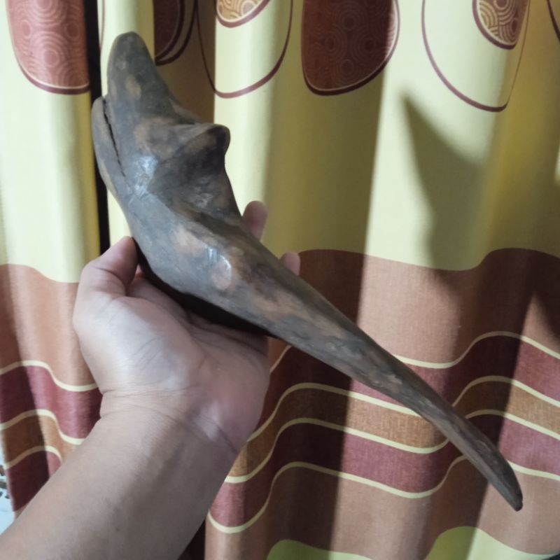 kayu gaharu kalimantan gaharu ramin kualitas tenggelam