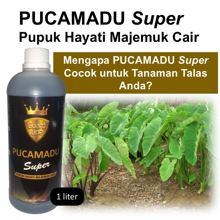 pupuk talas / pupuk hayati talas / pupuk cair untuk talas / pupuk pembesar umbi talas / PUCAMADU SUP