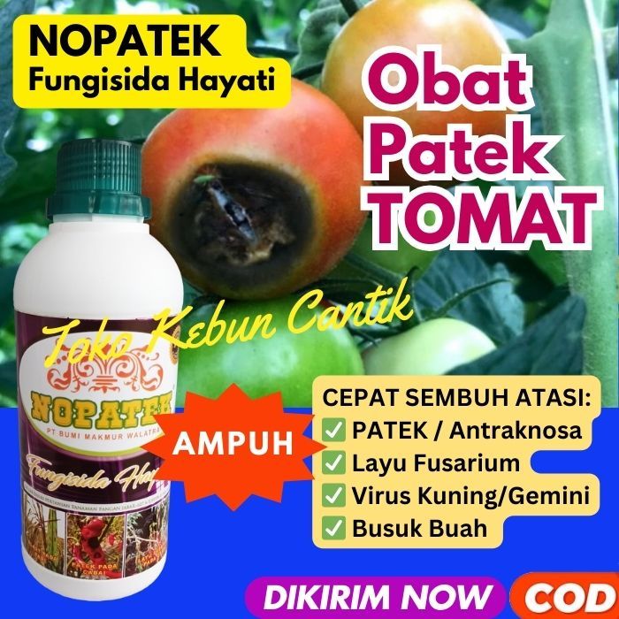 Fungisida Hayati NOPATEK 500ML untuk BERBAGAI Tanaman: Padi, CABE, Tomat, SAWI, MENTIMUN, Melon, Pep