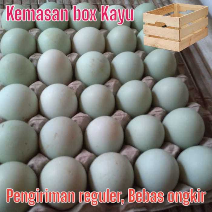 

Telur bebek mentah murah Langsung dari kandang gratis kemasan BOX aman