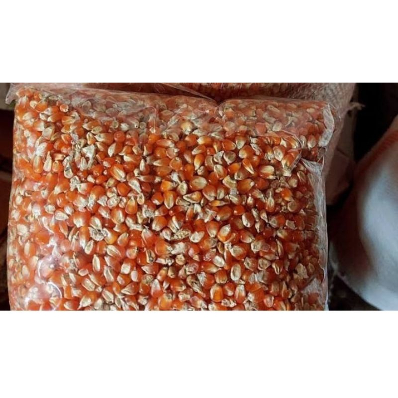 Jagung Kecil Kristal Jagung Super Kering Pakan Ayam Burung Unggas 5 Kilo