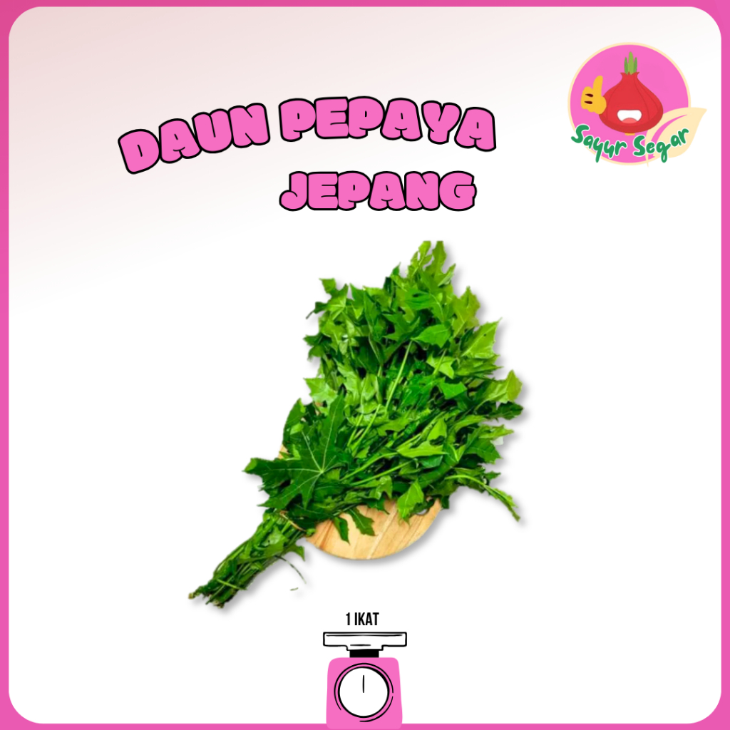 

Sayur Segar - Daun Pepaya Jepang 1 Ikat / Papaya Leaves