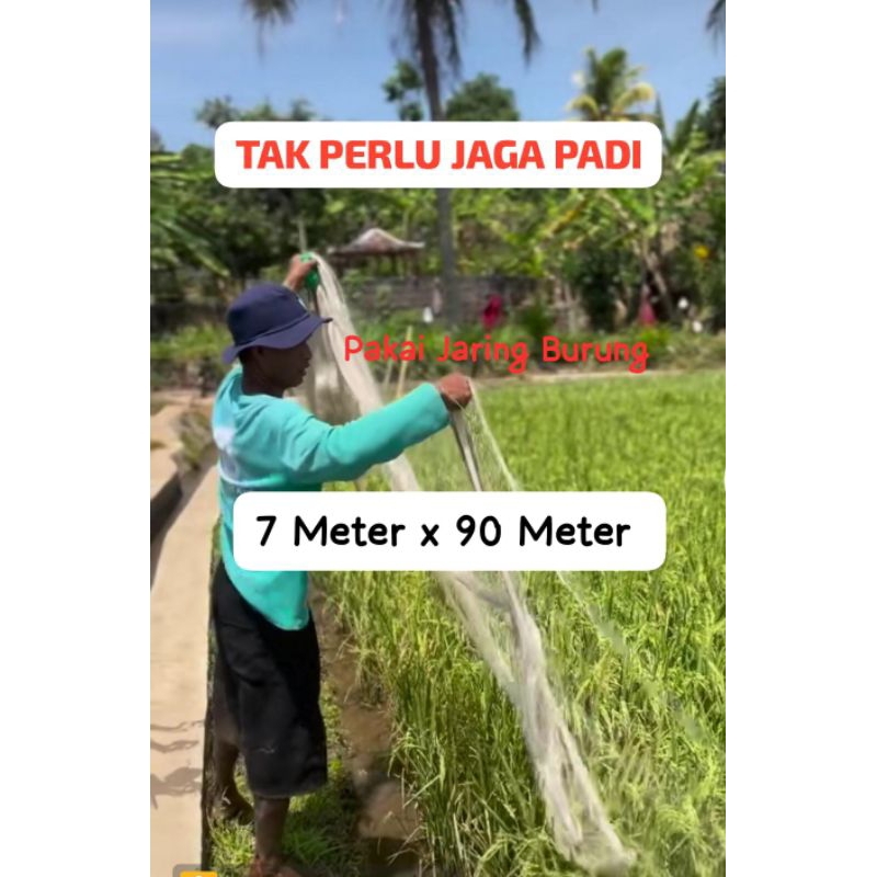 COD JARING PADI UKURAN 7 METER X 90 METER / JARING SAWAH / JARING BURUNG EMPRIT