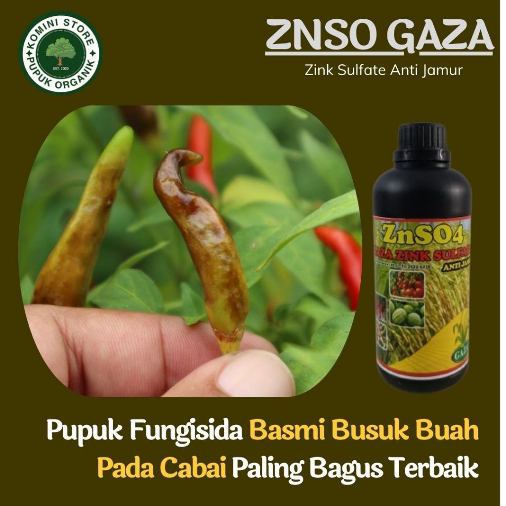 obat busuk buah pada cabe terampuh - ZNSO GAZA - Obat basmi busuk akar,batang,daun dan buah cabai pa