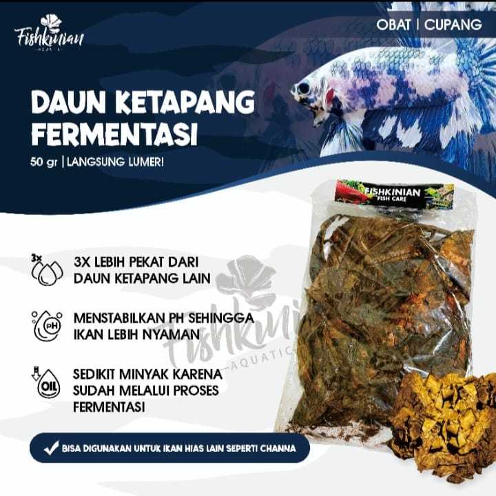 Fishkinian | Ketapang Laut  Ketapang Olahan Fermentasi - 50 Gr