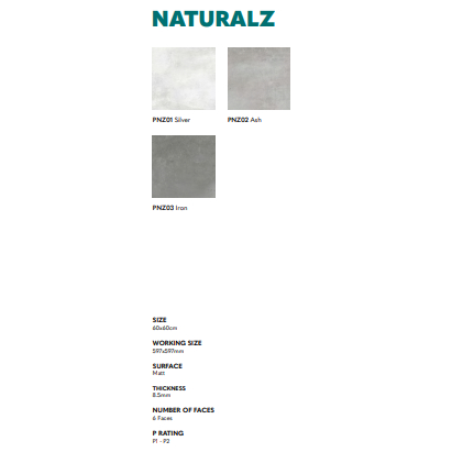 PORTINO NATURALZ MATT 60X60