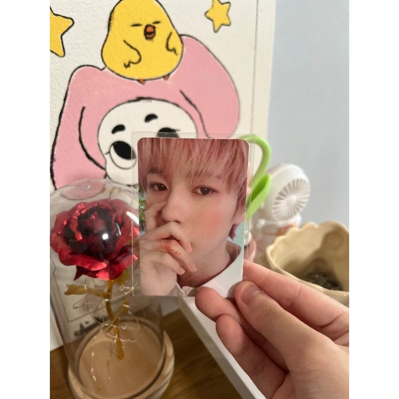 RENJUN NCT DREAM OFFICIAL CANDYLAB PHOTOCARD (NEGO)