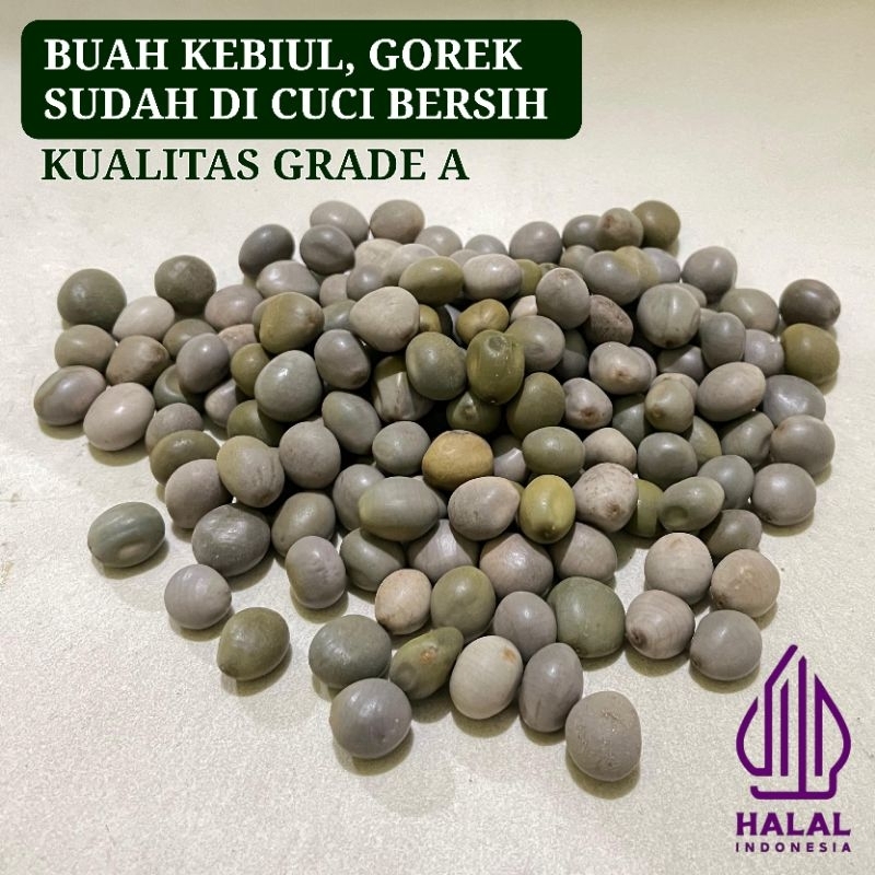 

Buah kebiul kualitas grade A Buah gorek Buah kalaloyang Obat herbal Obat ginjal Obat kolesterol Obat diabetes