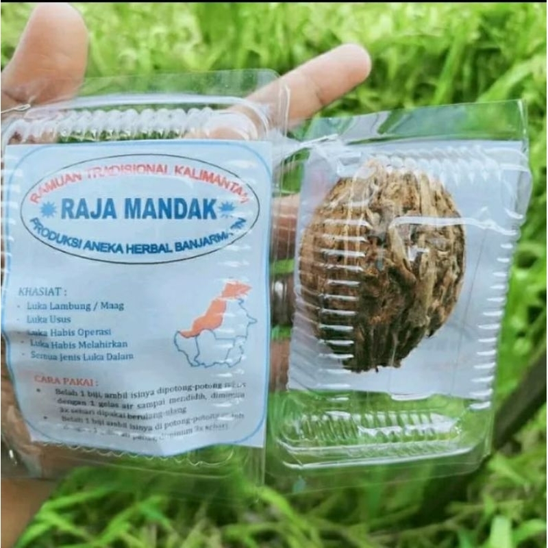 RAMUAN TRADISIONAL KALIMANTAN RAJA MANDAK. HERBAL KALIMANTAN