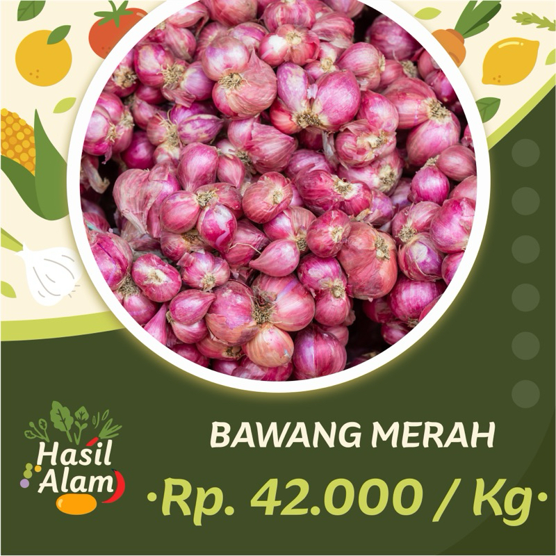 

Bawang Merah