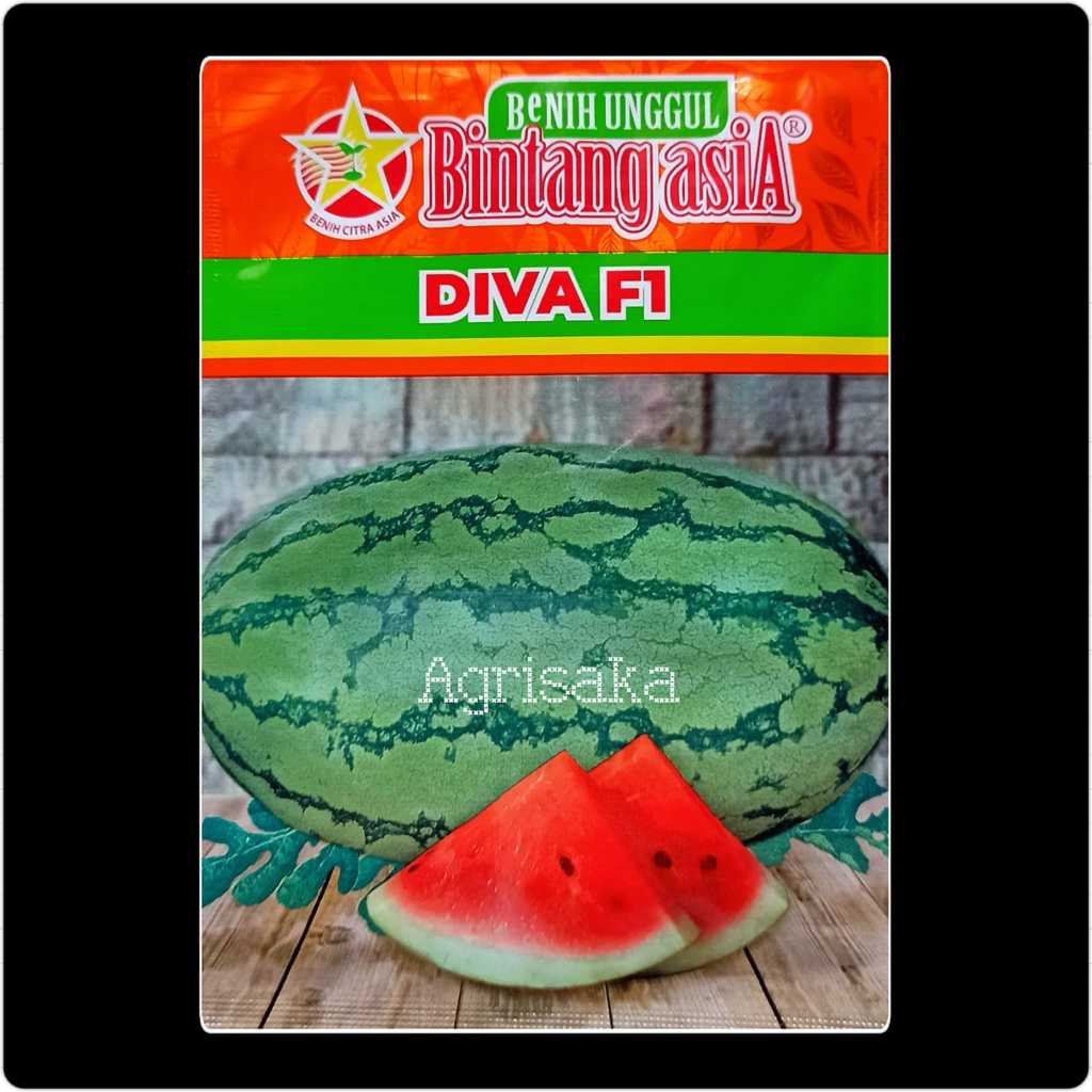 Benih Semangka DIVA F1 20 Gram - Bintang asiA