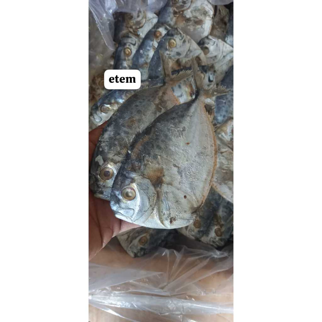 

COD Ikan asin semar / etem super murah 1kg