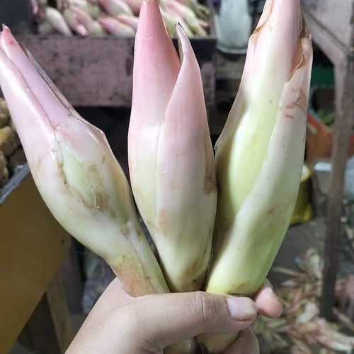 

Onje / Kecombrang / Comberang / Kincung / Bunga Rias Batak 200gr