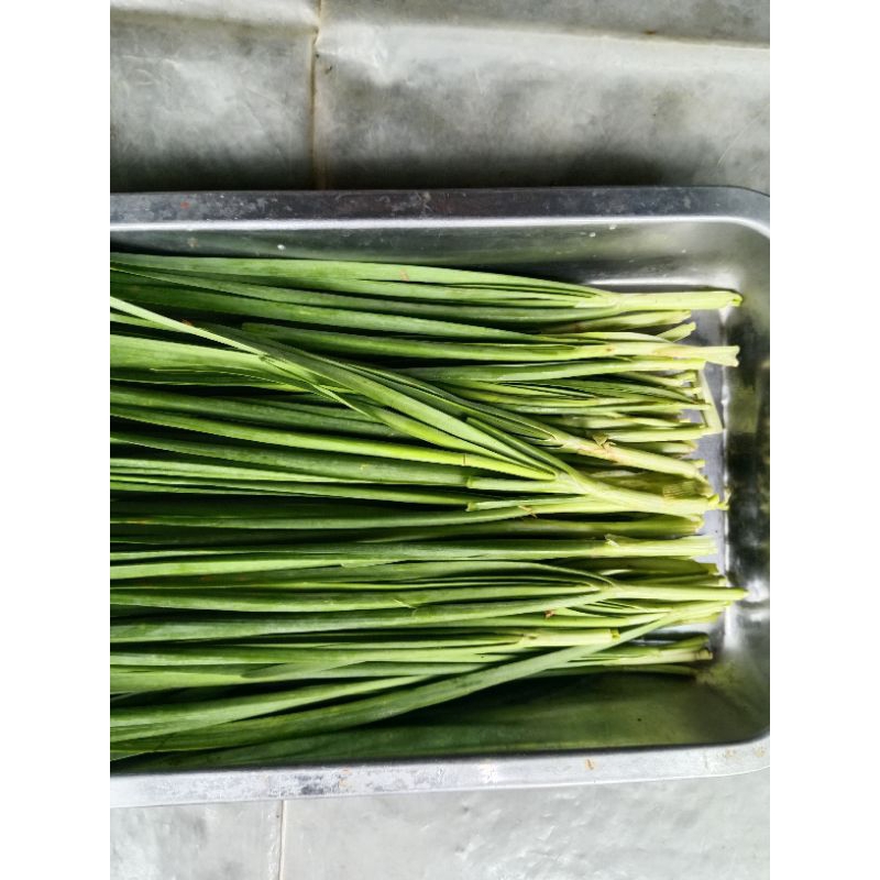 

bawang kucay besar mang sayur