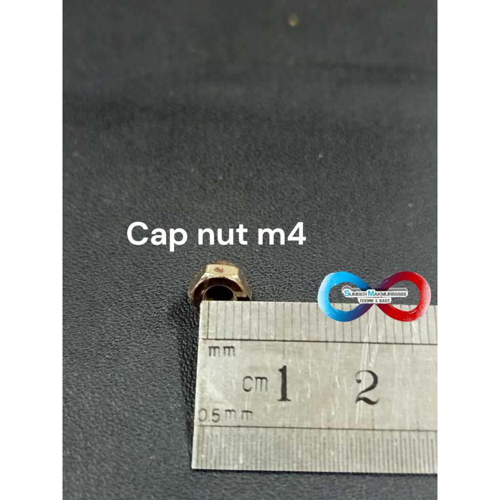 Mur Topi / Cap nut m4