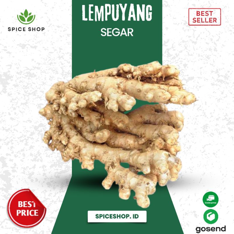 

Lempuyang segar (Zingiber zerumbet) - Spiceshop