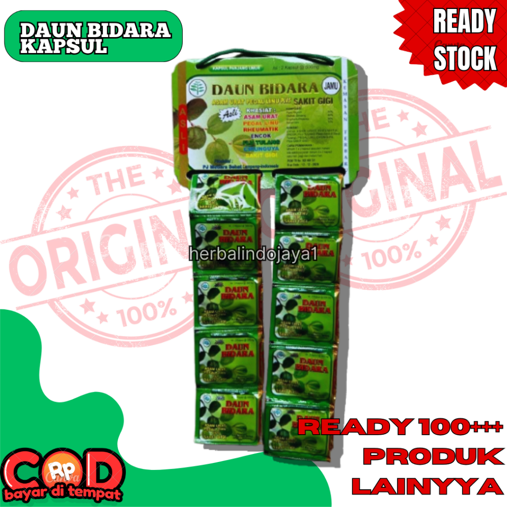 daun bidara kapsul original 1 renceng
