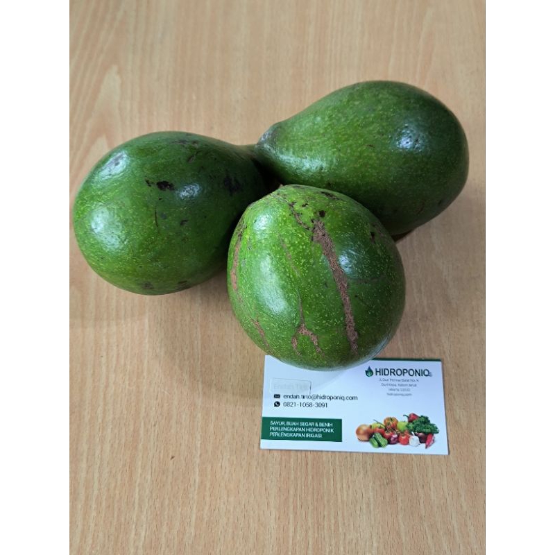 

Alpukat Mentega Organik Super Grade A 2kg