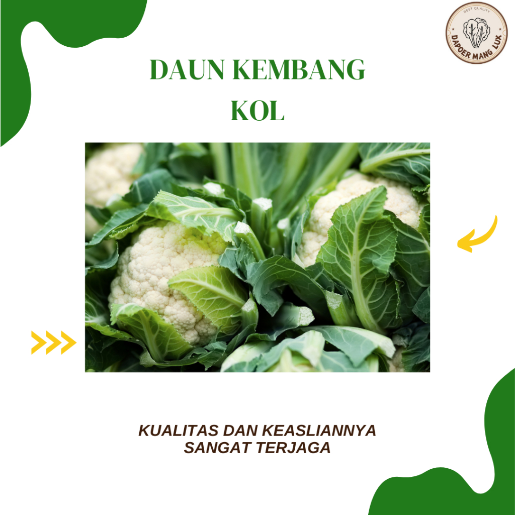 

DRIED SERBUK DAUN KEMBANG KOL BEST SELLER