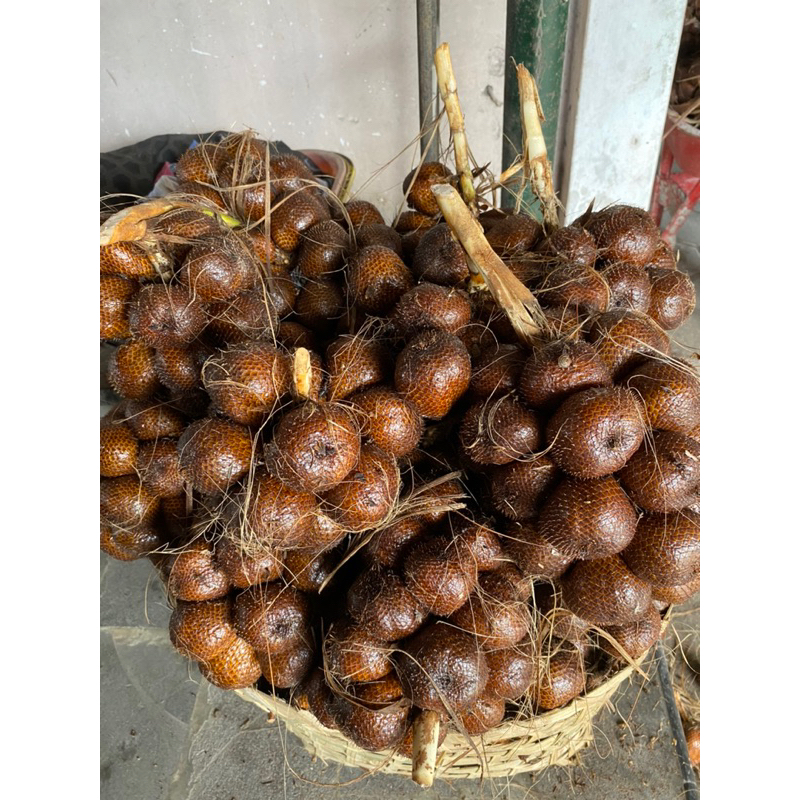 

Salak pondoh organik tanpa pupuk kimia