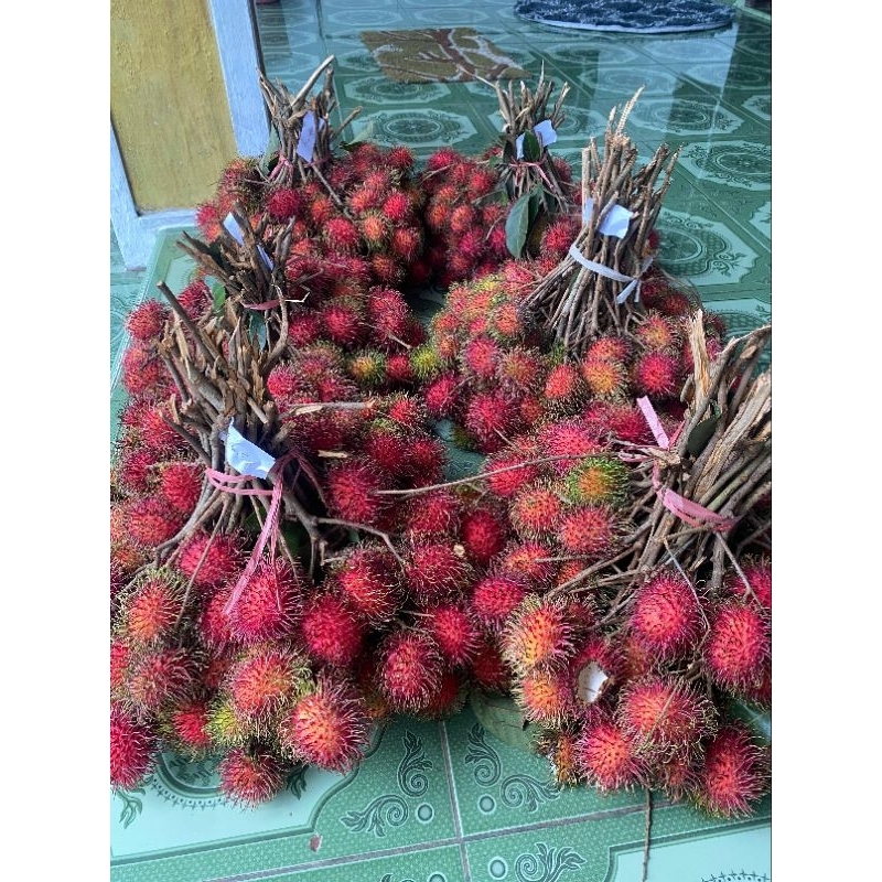 

Rambutan binjai