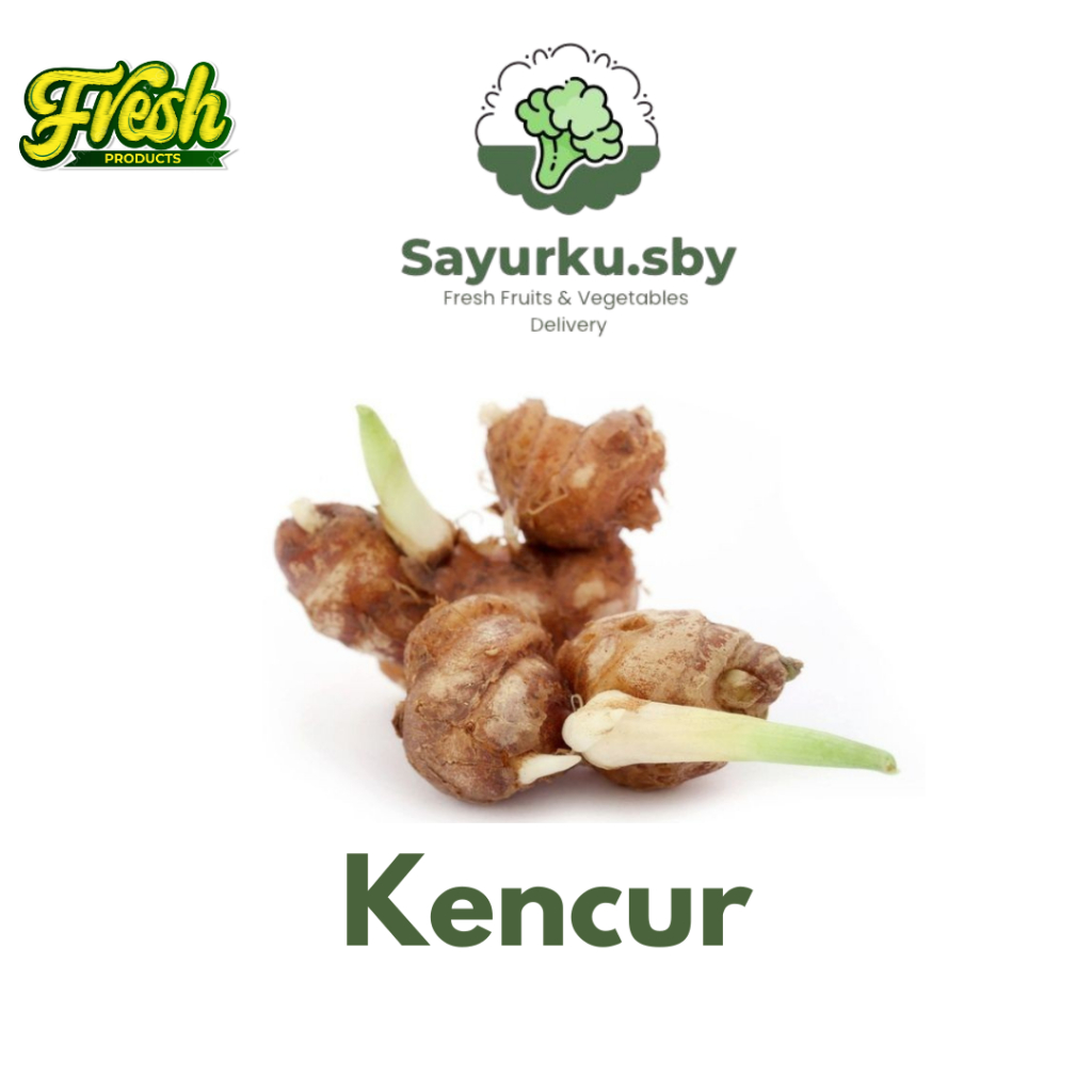 

Sayurku.sby {bisa kirim instan} KENCUR rimpang