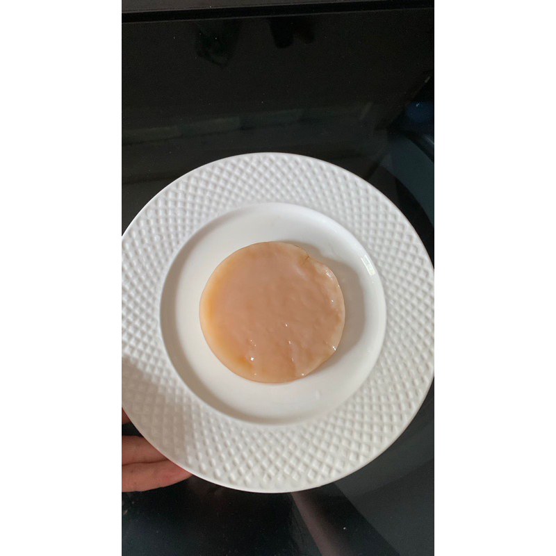 

Bibit Scoby Kombucha Diameter 10cm plus Starter