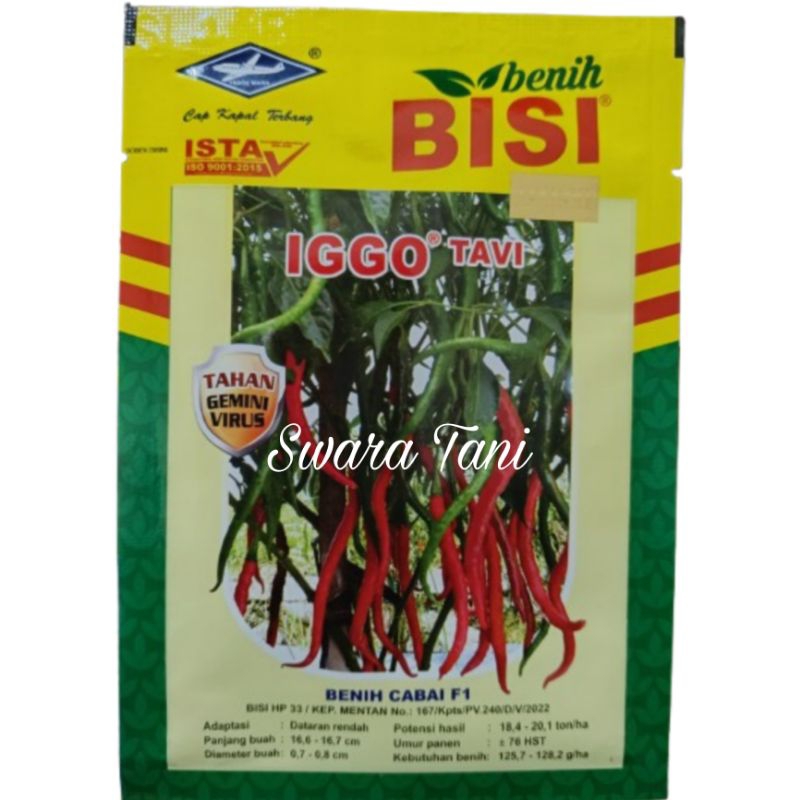 Benih Cabai F1 IGGO TAVI