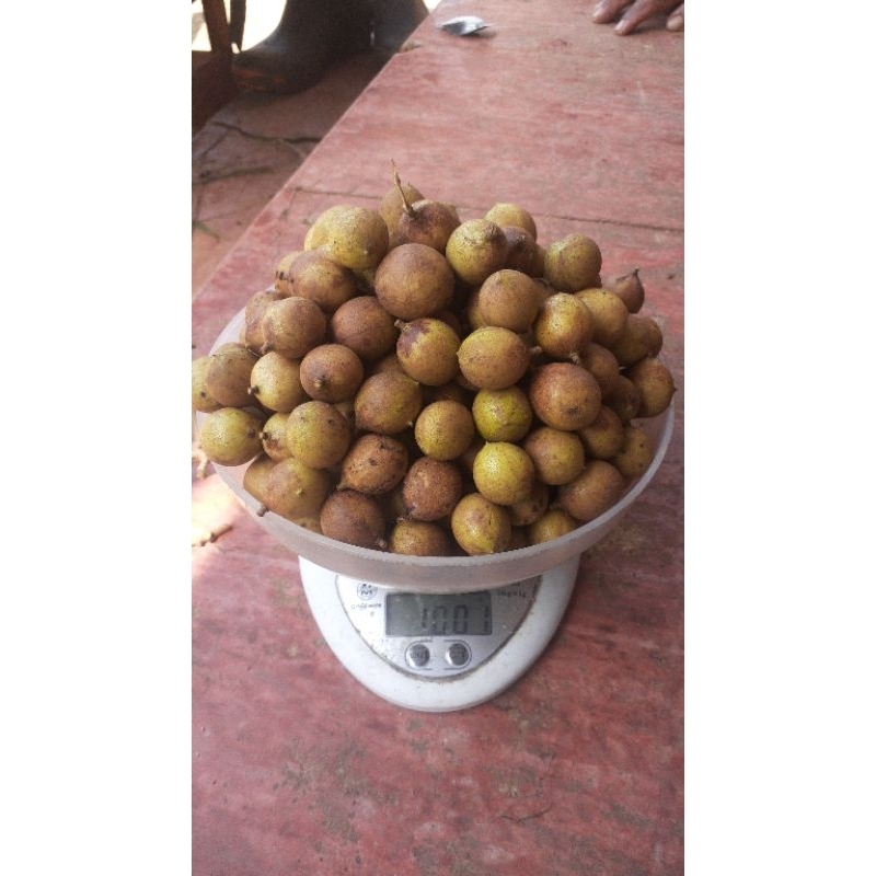 

kosambi/ sambi/ kalengkeng madura
