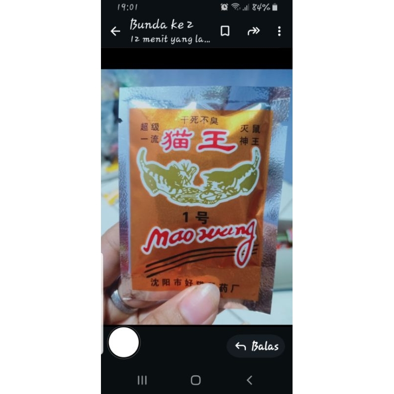 racun beras ampuh membunuh tikus