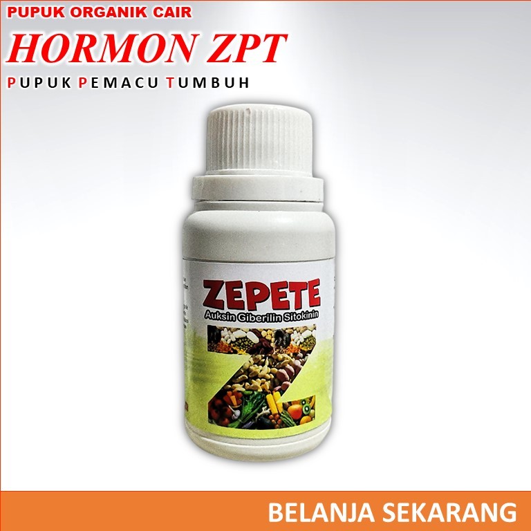 ZEPETE ZPT Organik Terbaik - Hormon Perangsang Pertumbuhan Tanaman, Percepatan Akar, Daun, Bunga, Bu