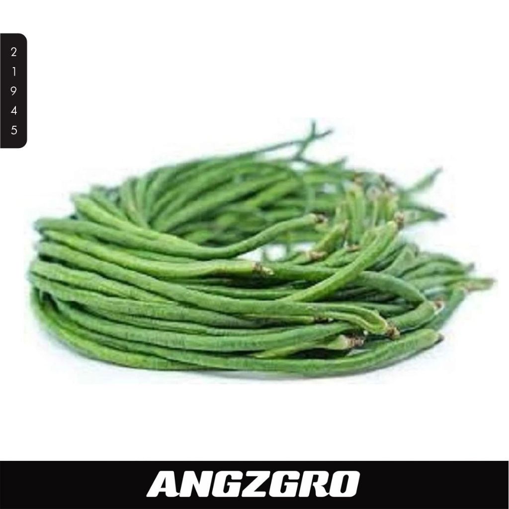 

Kacang Panjang 250 Gr