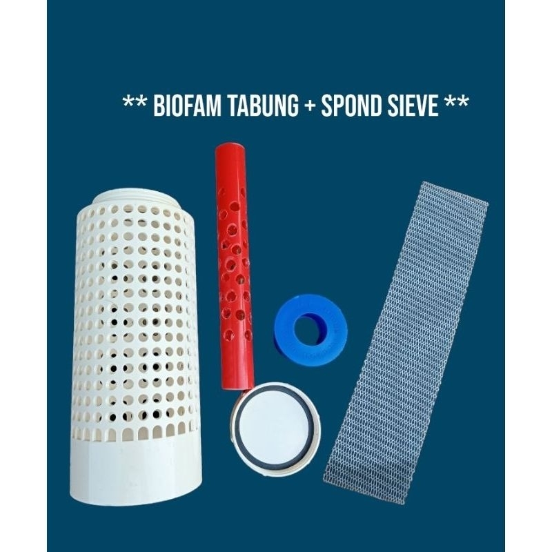 BiofoamTabung + sieve filter aquarium