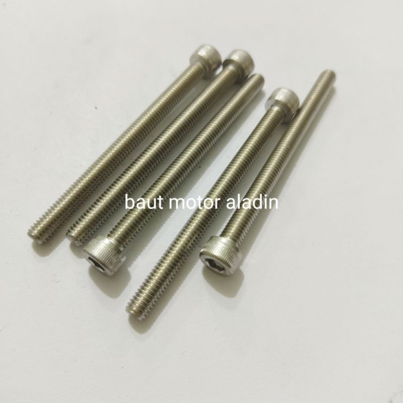 Baut 10/M6x75mm Stainless Kunci L5