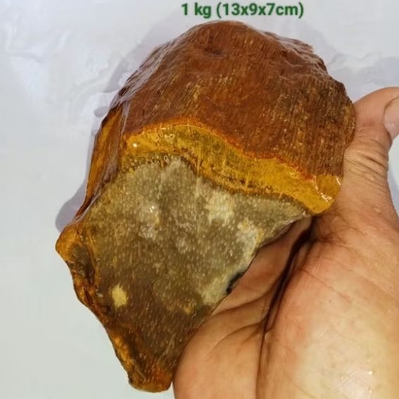 batu fosil bambu hitam kristal (499)