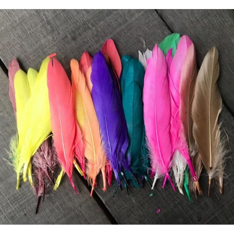 BULU ANGSA AYAM WARNA WARNI HALUS MURAH BULU AYAM WARNA WARNI HALUS