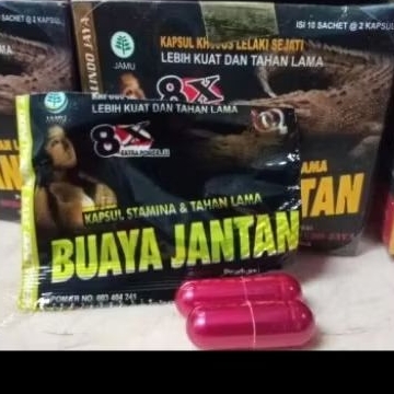 buaya jantan kapsul
