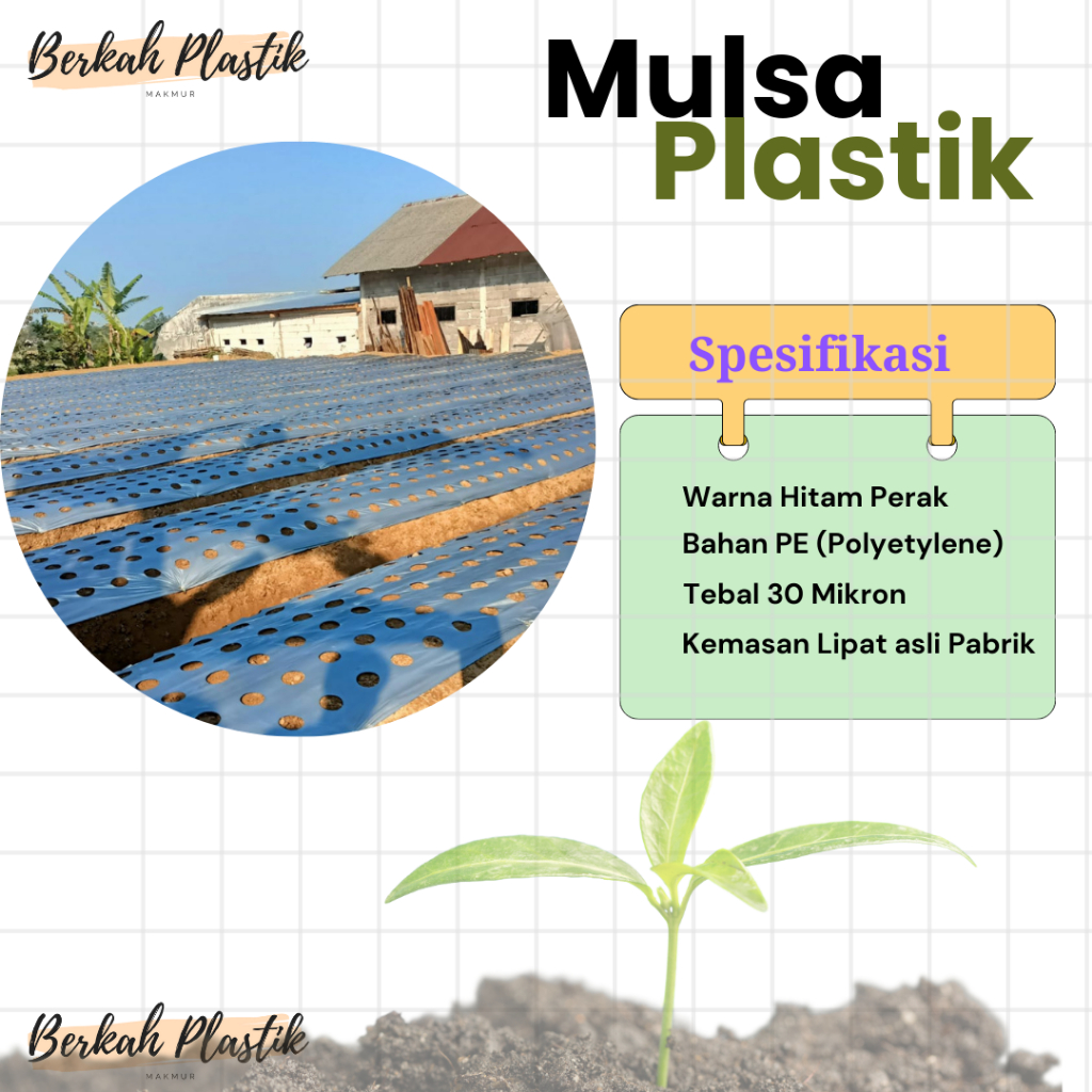 Raflezia Mulsa Plastik Hitam Perak Panjang 40 Meter Ukuran 120 Cm 100 Cm 80 Cm