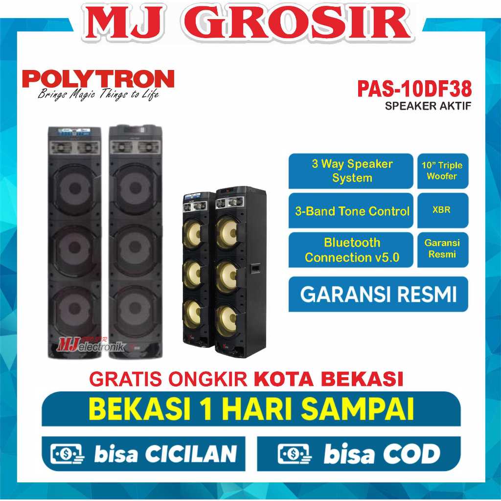 POLYTRON SPEAKER AUDIO PAS 10DF38   BLUETOOTH