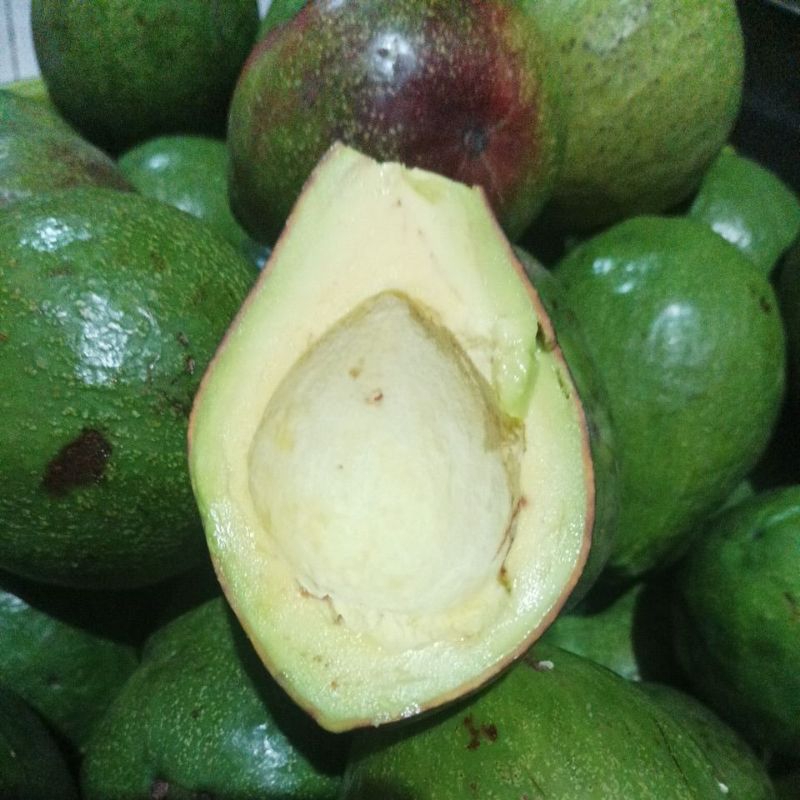 

Alpukat 1kg isi 3-4