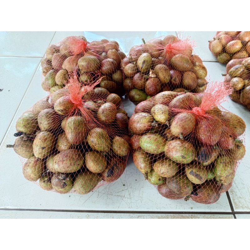 

[PO] Pre Order Buah Matoa Khas Papua