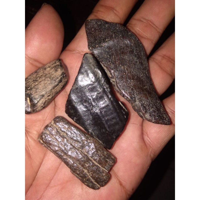 batu wisa atau batu sedot racun