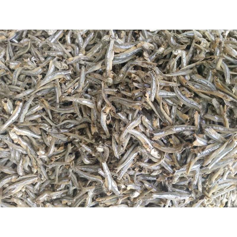 

teri jengki 15.000 termurah