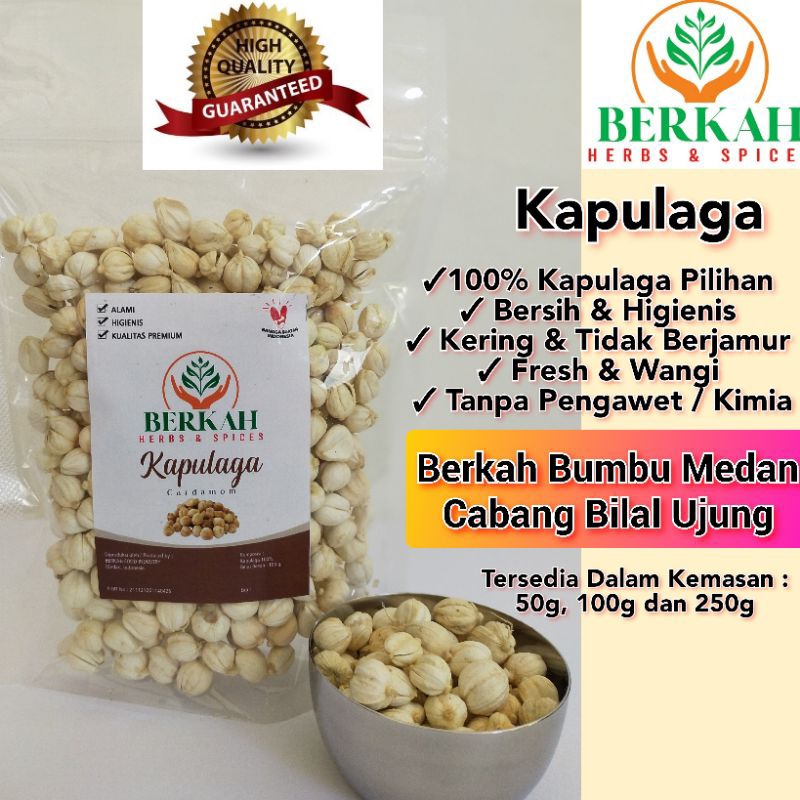 

Kapulaga Putih Lokal Pilihan Berkah Kualitas Premium Halal